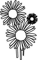 Asters flowers icon