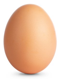 Brown egg