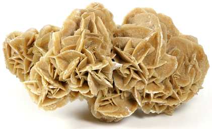 Desert rose selenite