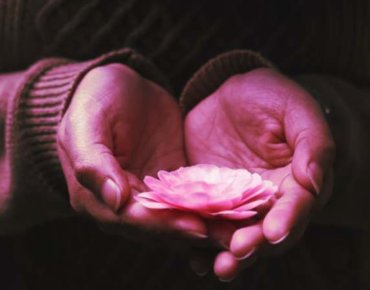 hands offering flower