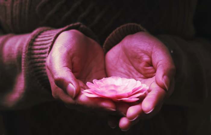 hands offering flower