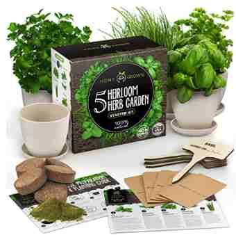 Indoor herb kit