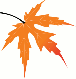 Japanese maple leaf