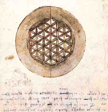 Leonardo Da Vinci - Flower of Life drawing