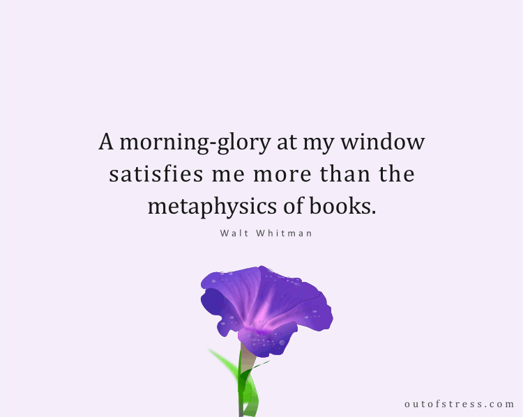 A morning-glory at my window satisfies me more than the metaphysics of books.