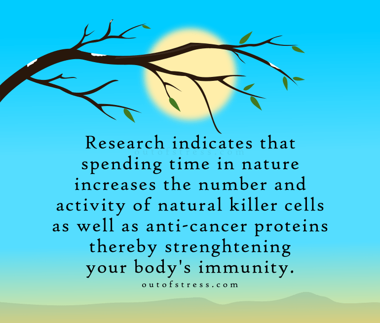 Nature strengthens immunity - research