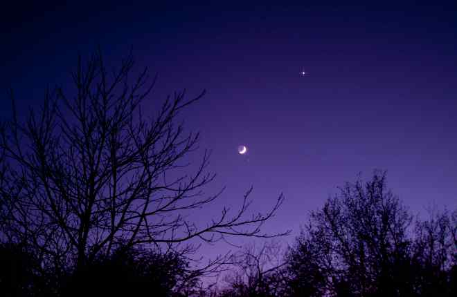 Venus in the night sky