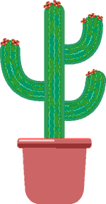 Potted cactus