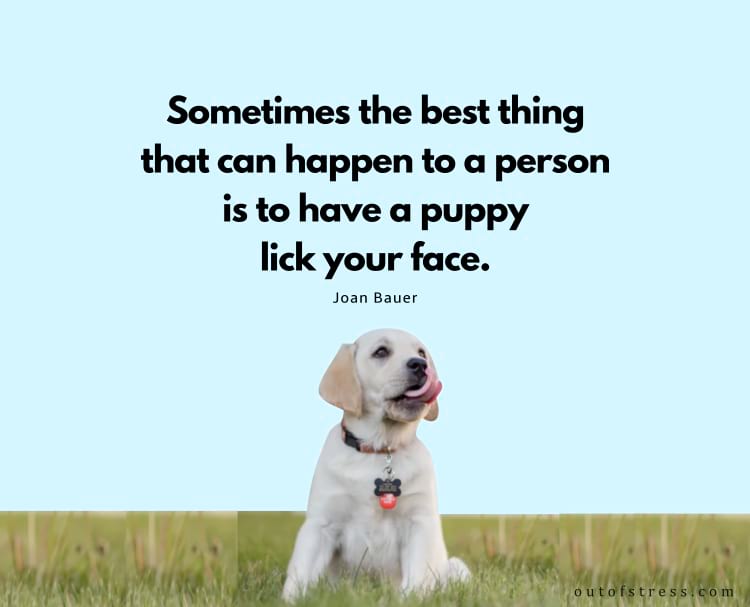 Sometimes the best thing that can happen to a person is to have a puppy lick your face.