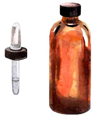 Sandalwood essential oil illustration