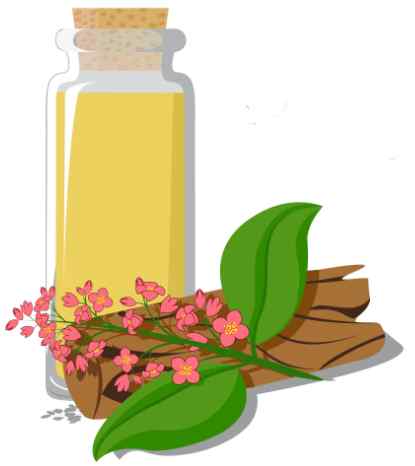 Sandalwood essential oil