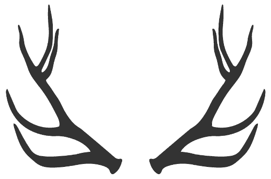 Shamanic antlers