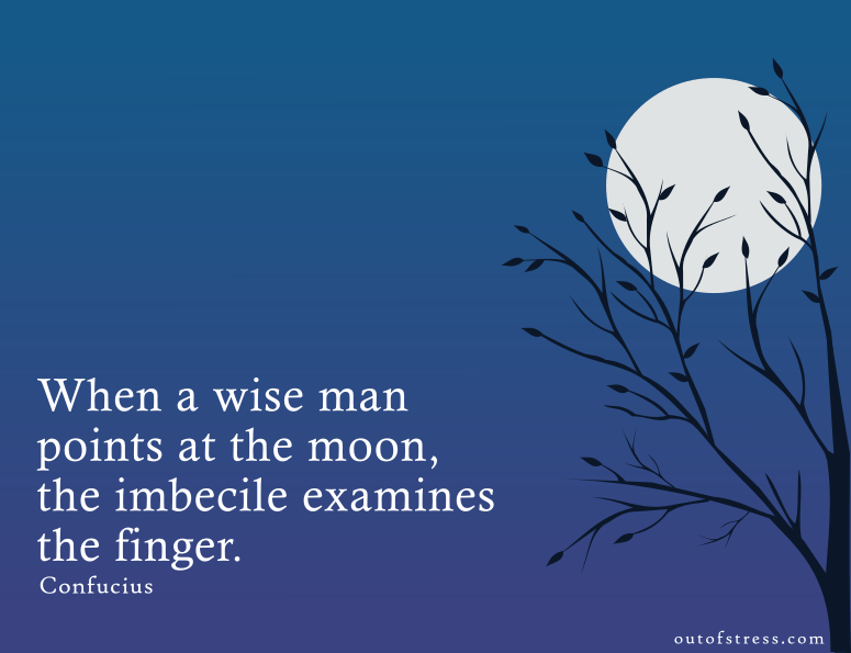 When a wise man points at the moon the imbecile examines the finger.